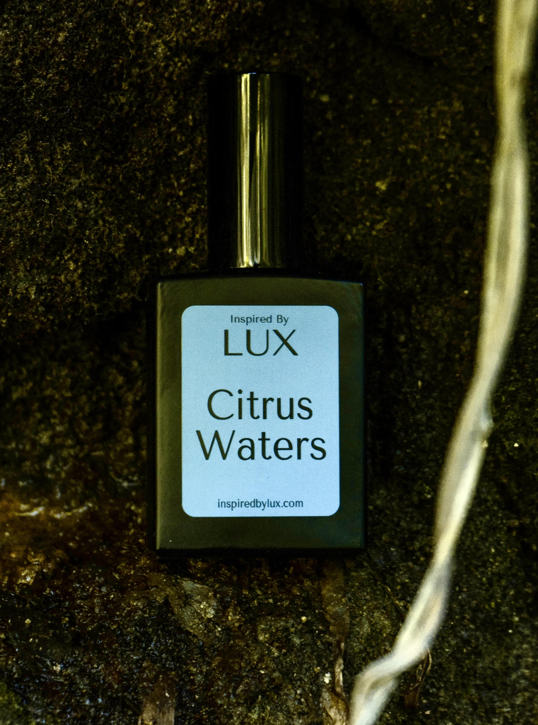 Citrus Waters inspiredbylux